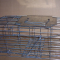 Cage d'oiseau pliable Live Coyote Cage Trap